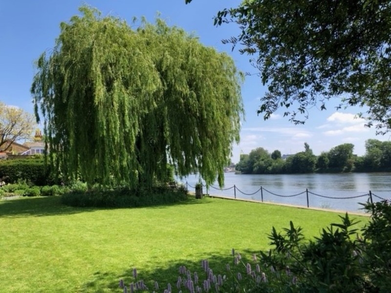 Chiswick Mall Gardens